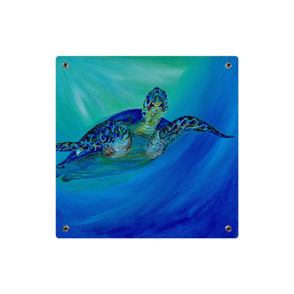 Acrylic Wall Art Panels