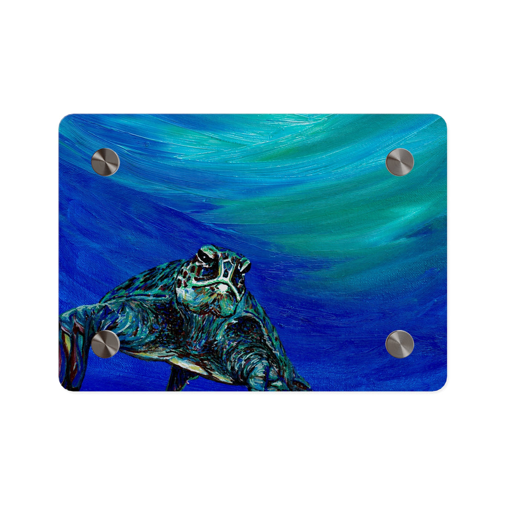 Ocean-Inspired Acrylic Wall Art Panels - Turtle Design