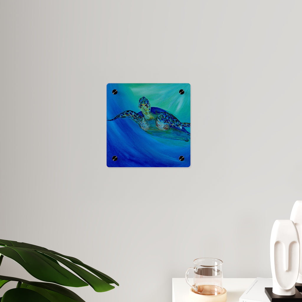 Acrylic Wall Art Panels