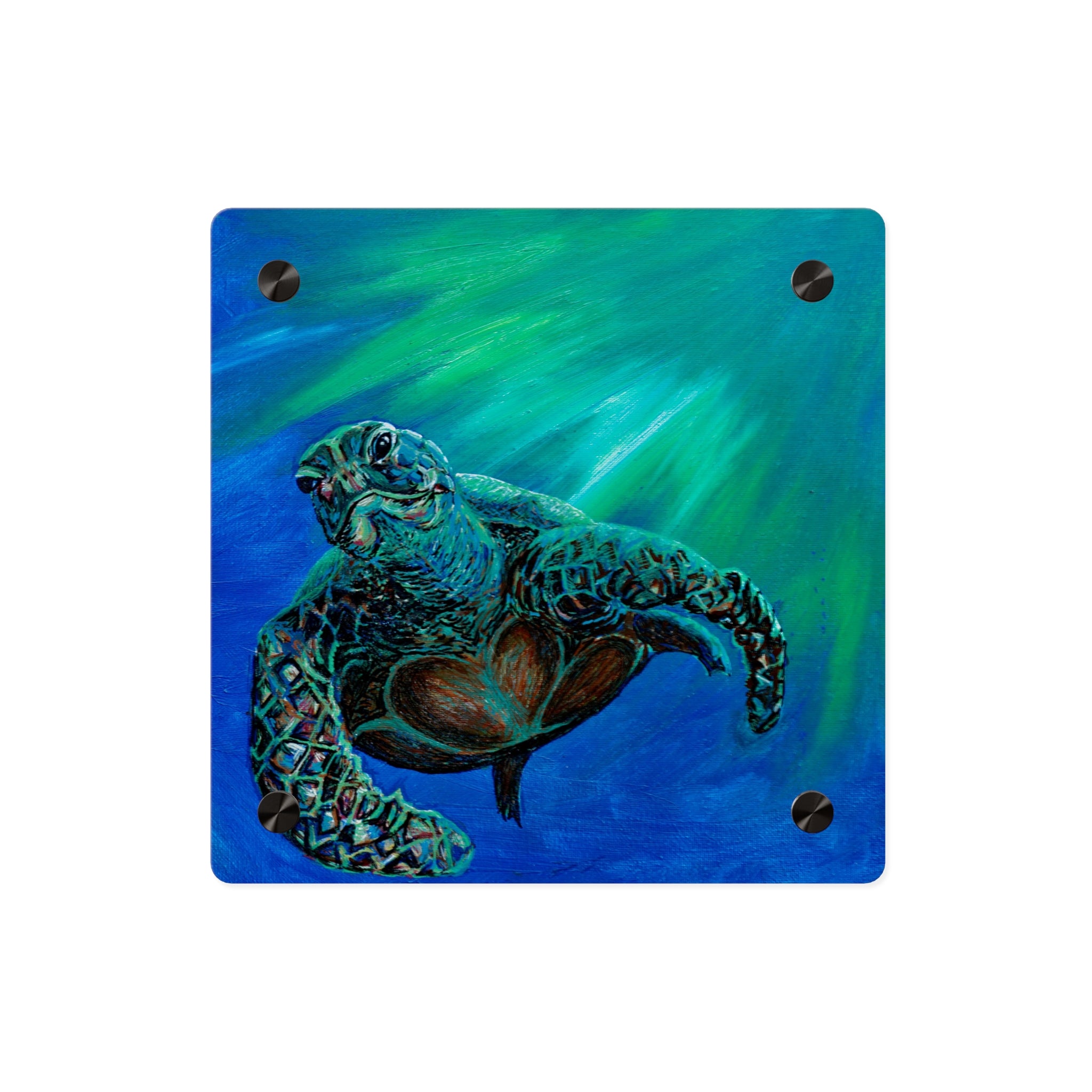 Turtle 3 Aquatic Turtle Acrylic Wall Art Panels - Ocean-Inspired Decor