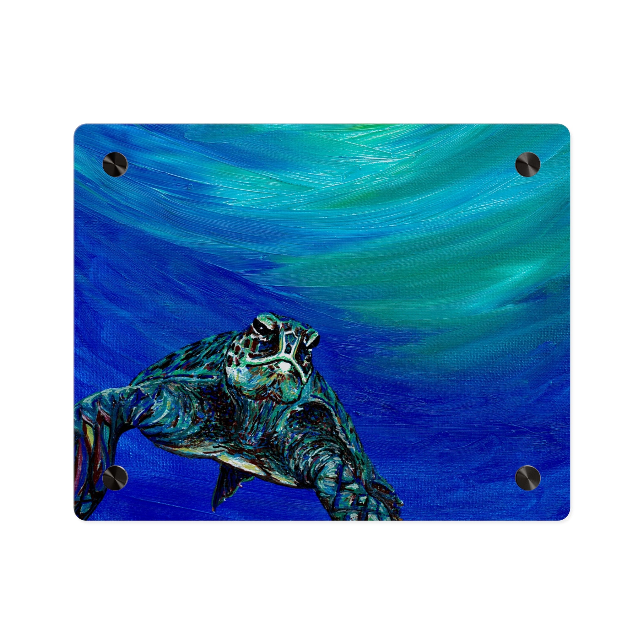 Ocean-Inspired Acrylic Wall Art Panels - Turtle Design