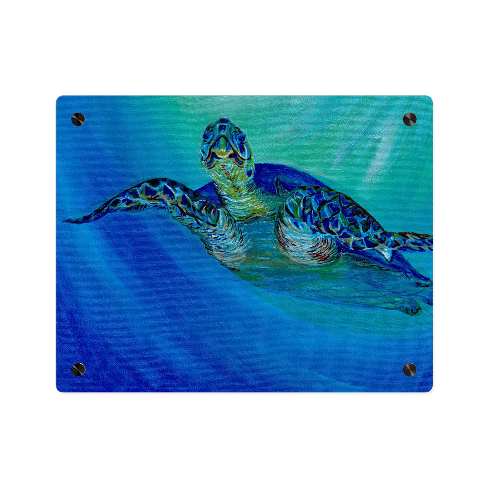 Acrylic Wall Art Panels