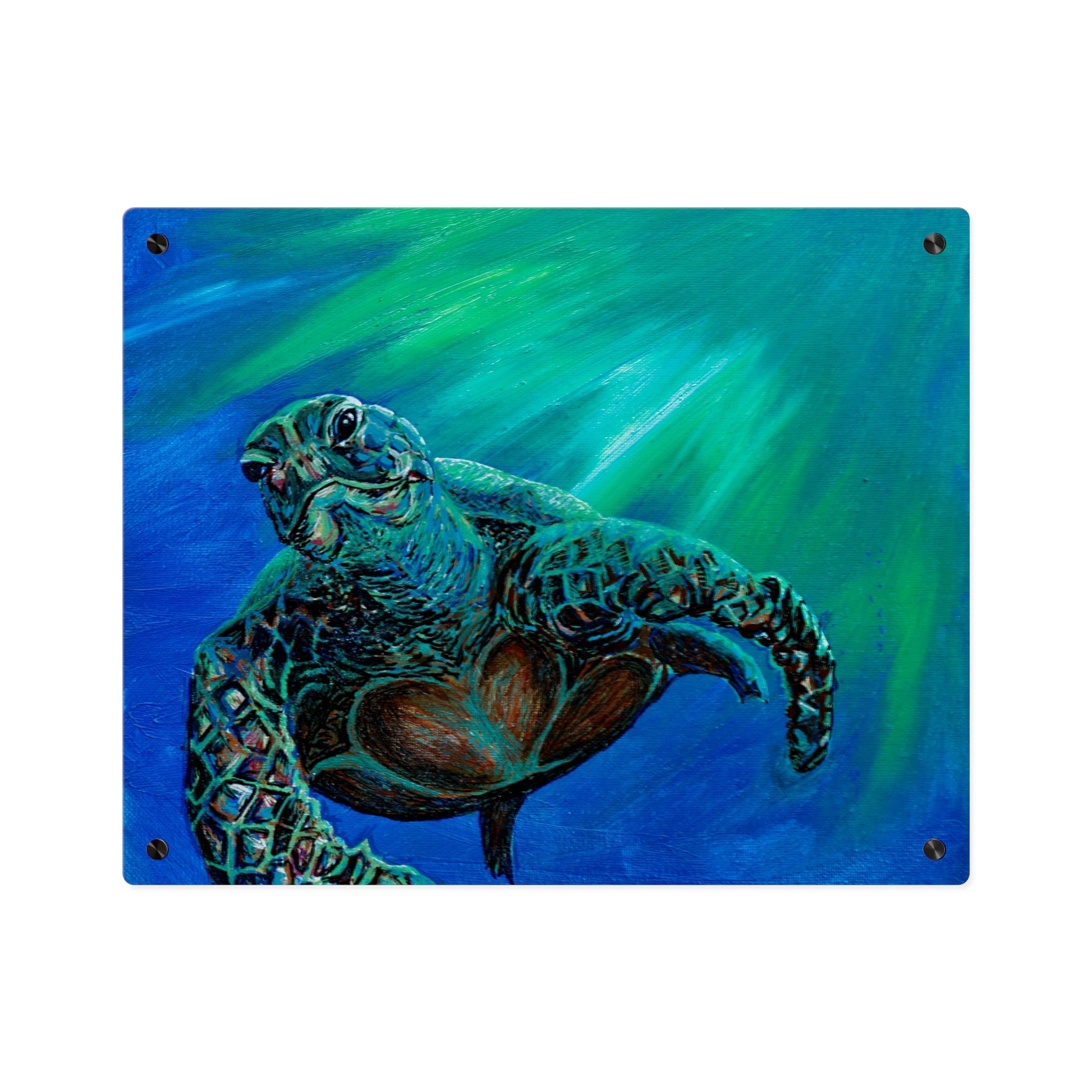 Turtle 3 Aquatic Turtle Acrylic Wall Art Panels - Ocean-Inspired Decor