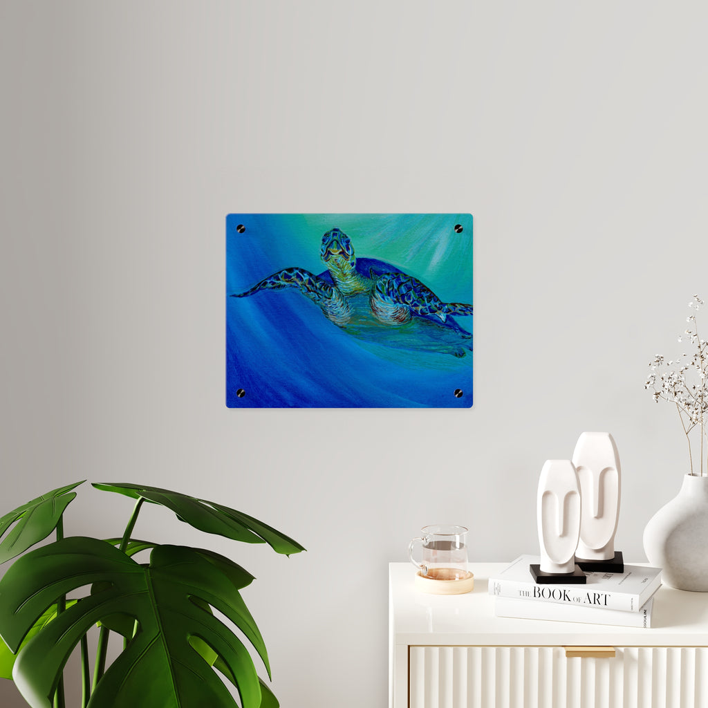 Acrylic Wall Art Panels