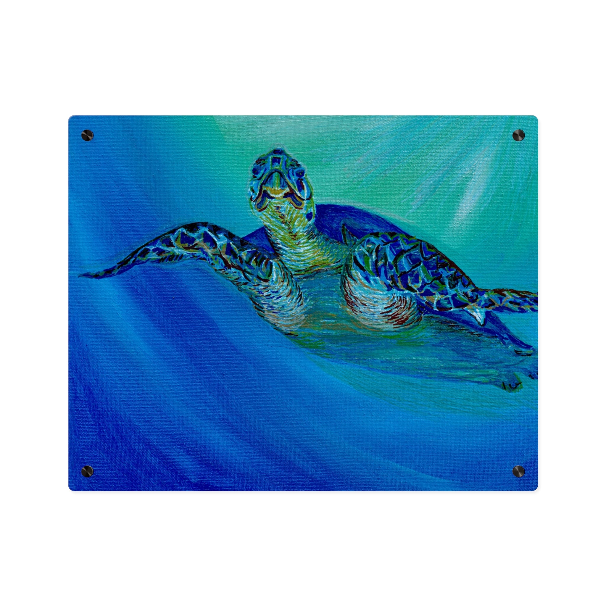 Acrylic Wall Art Panels