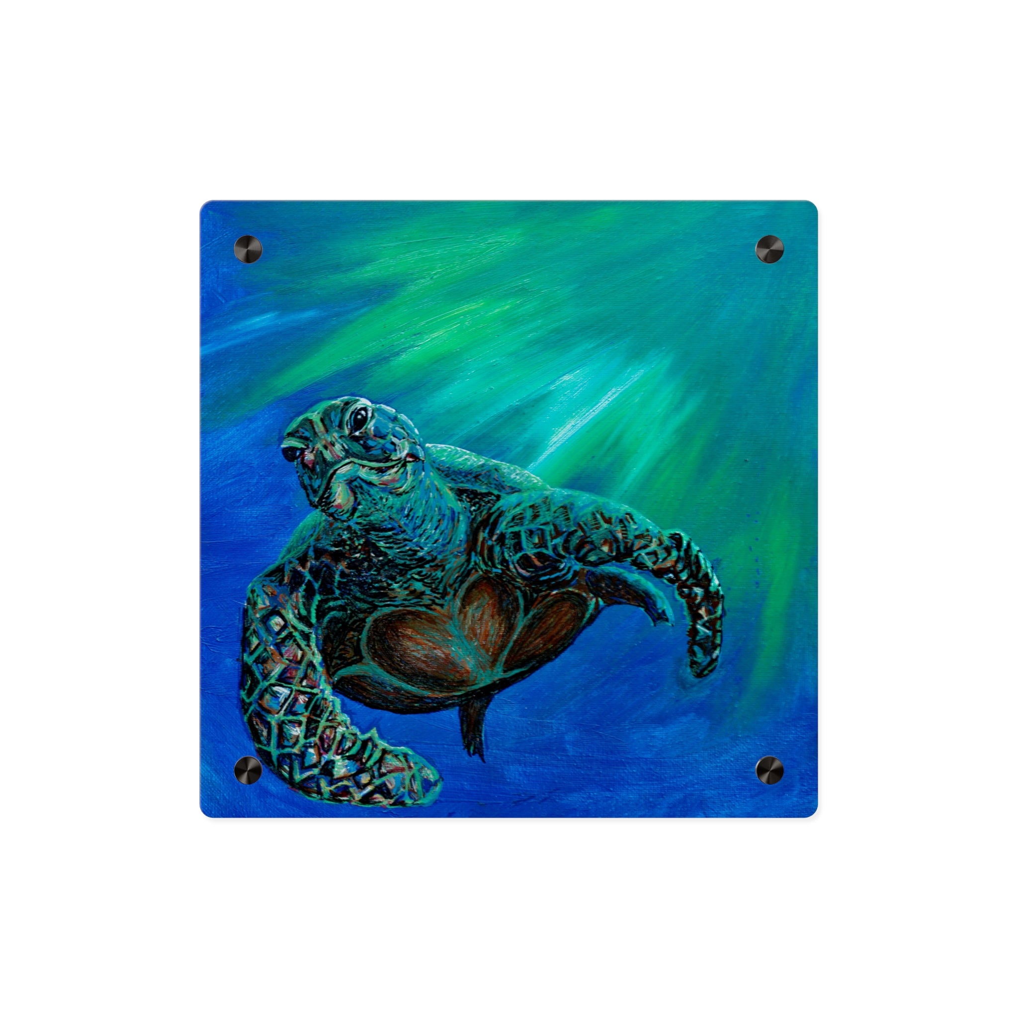 Turtle 3 Aquatic Turtle Acrylic Wall Art Panels - Ocean-Inspired Decor