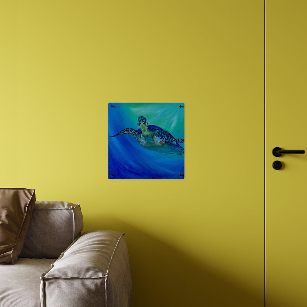 Acrylic Wall Art Panels