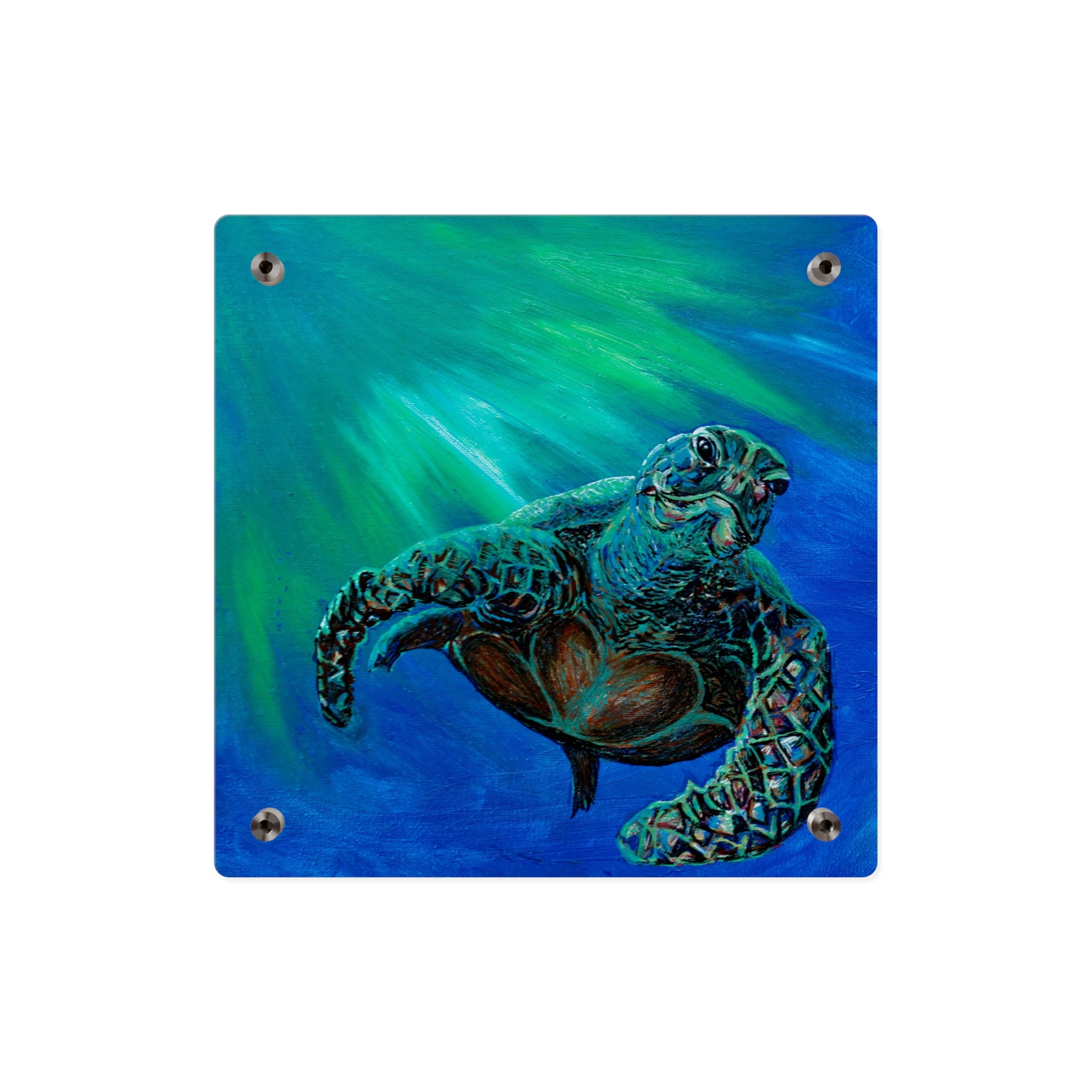 Turtle 3 Aquatic Turtle Acrylic Wall Art Panels - Ocean-Inspired Decor