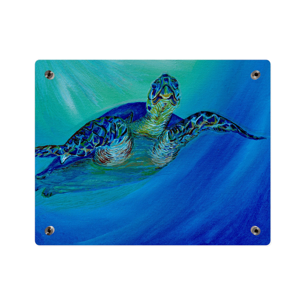 Acrylic Wall Art Panels