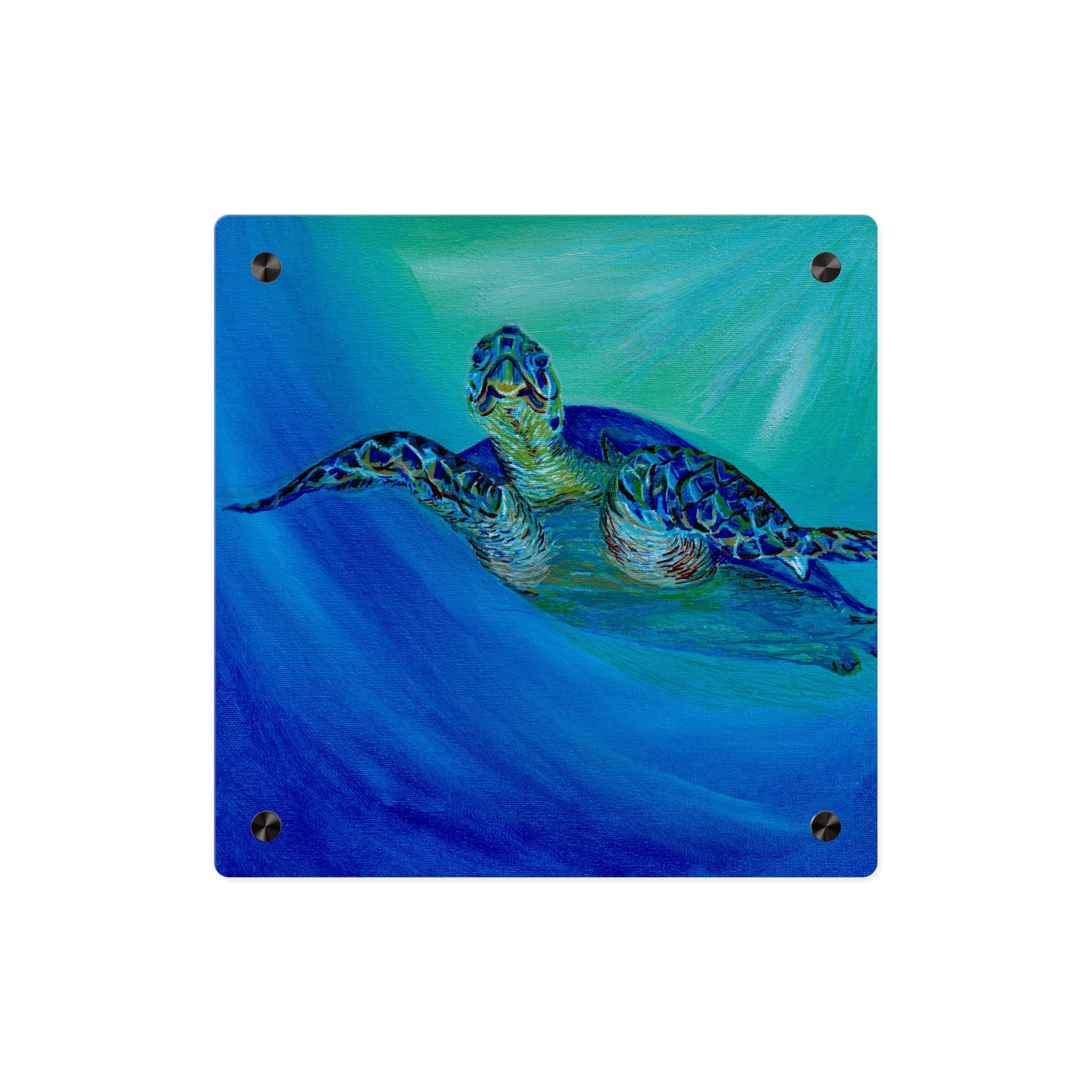 Acrylic Wall Art Panels