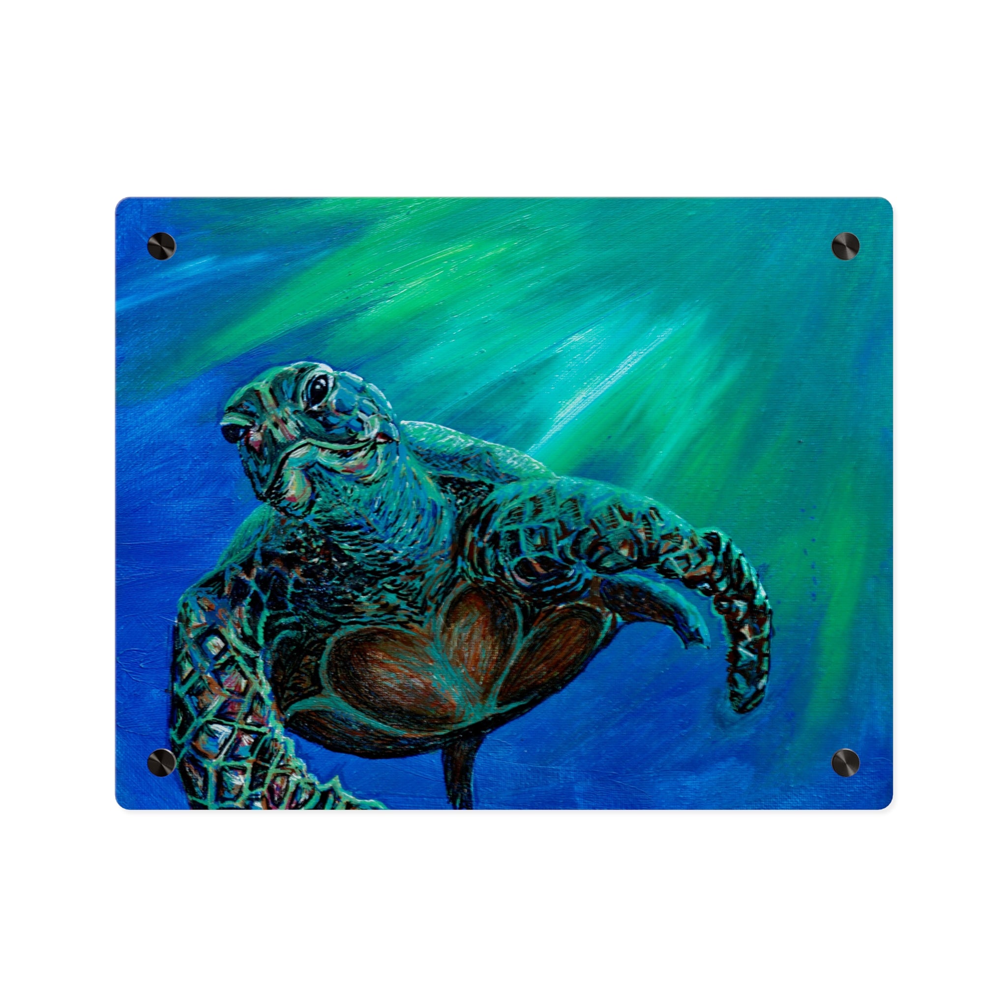 Turtle 3 Aquatic Turtle Acrylic Wall Art Panels - Ocean-Inspired Decor