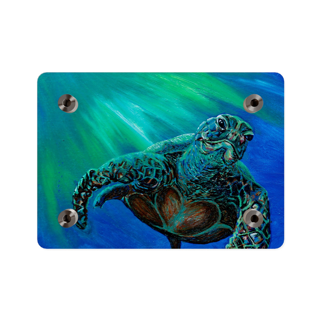Turtle 3 Aquatic Turtle Acrylic Wall Art Panels - Ocean-Inspired Decor