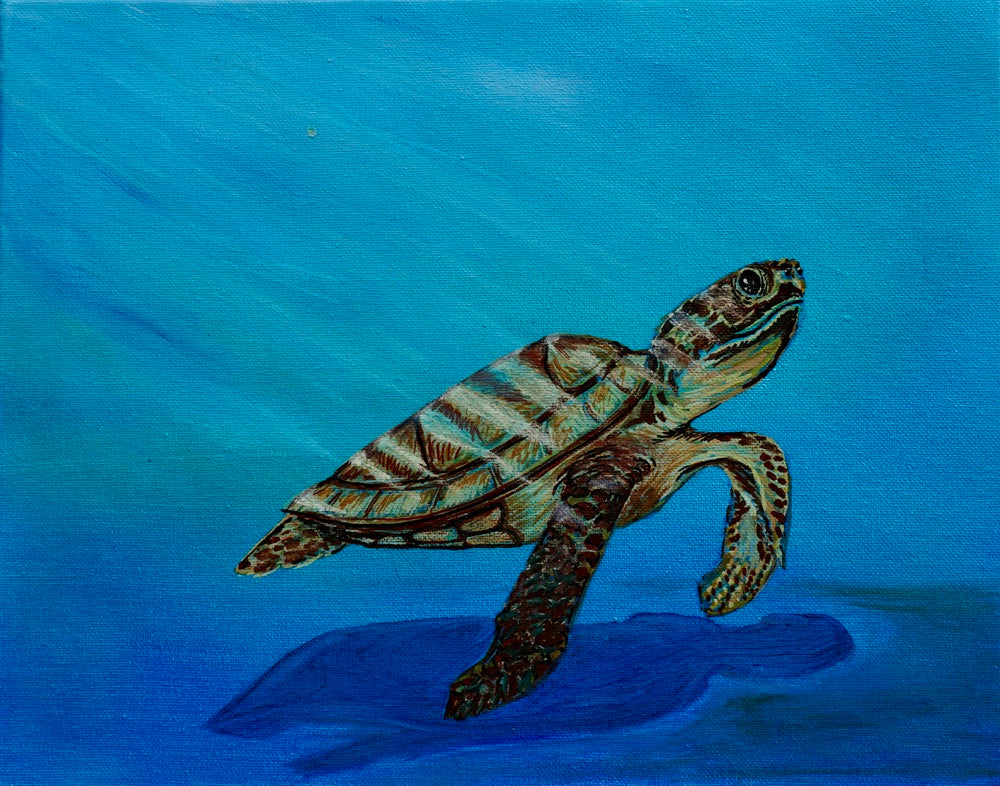 Ned the Turtle Original Oil Painting