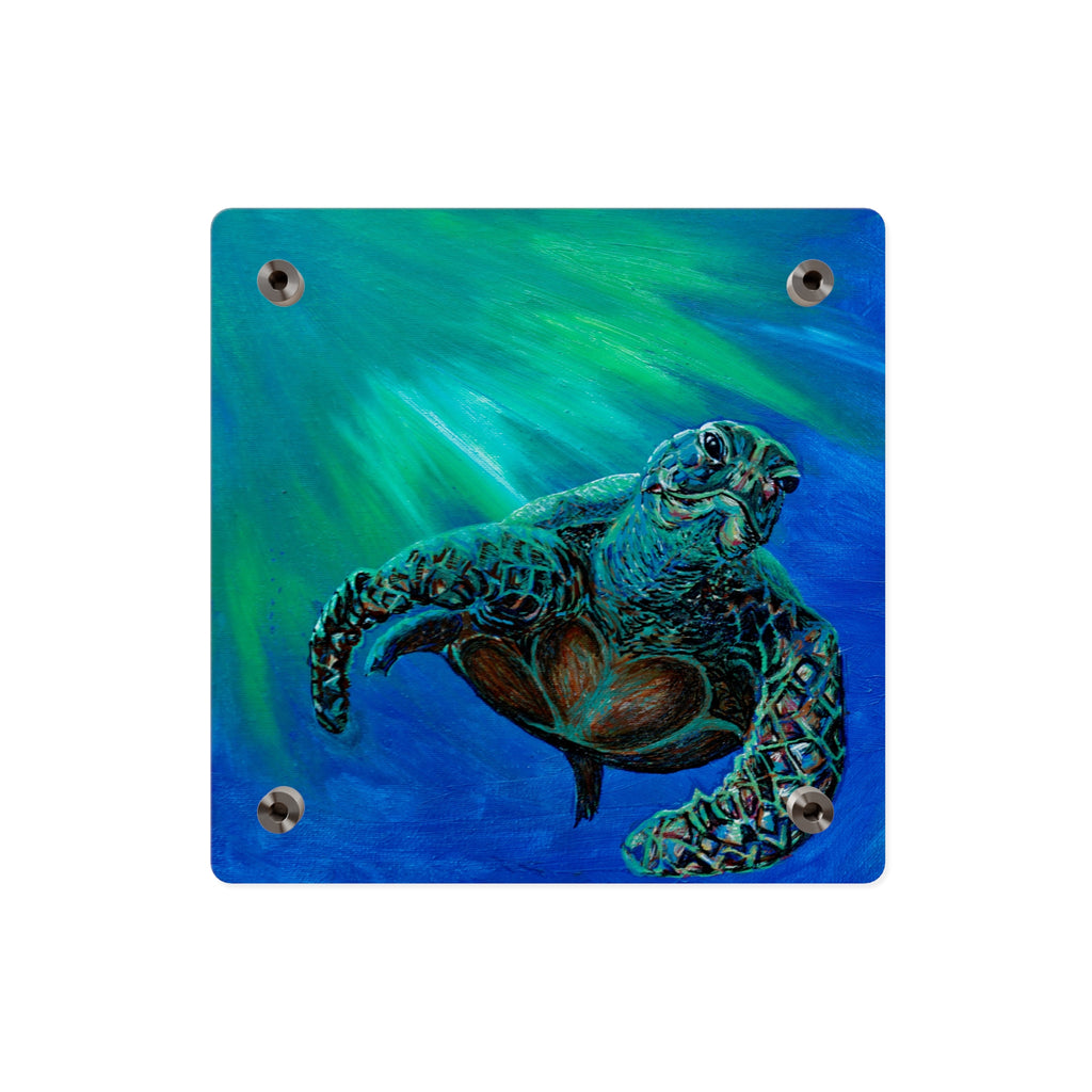 Turtle 3 Aquatic Turtle Acrylic Wall Art Panels - Ocean-Inspired Decor
