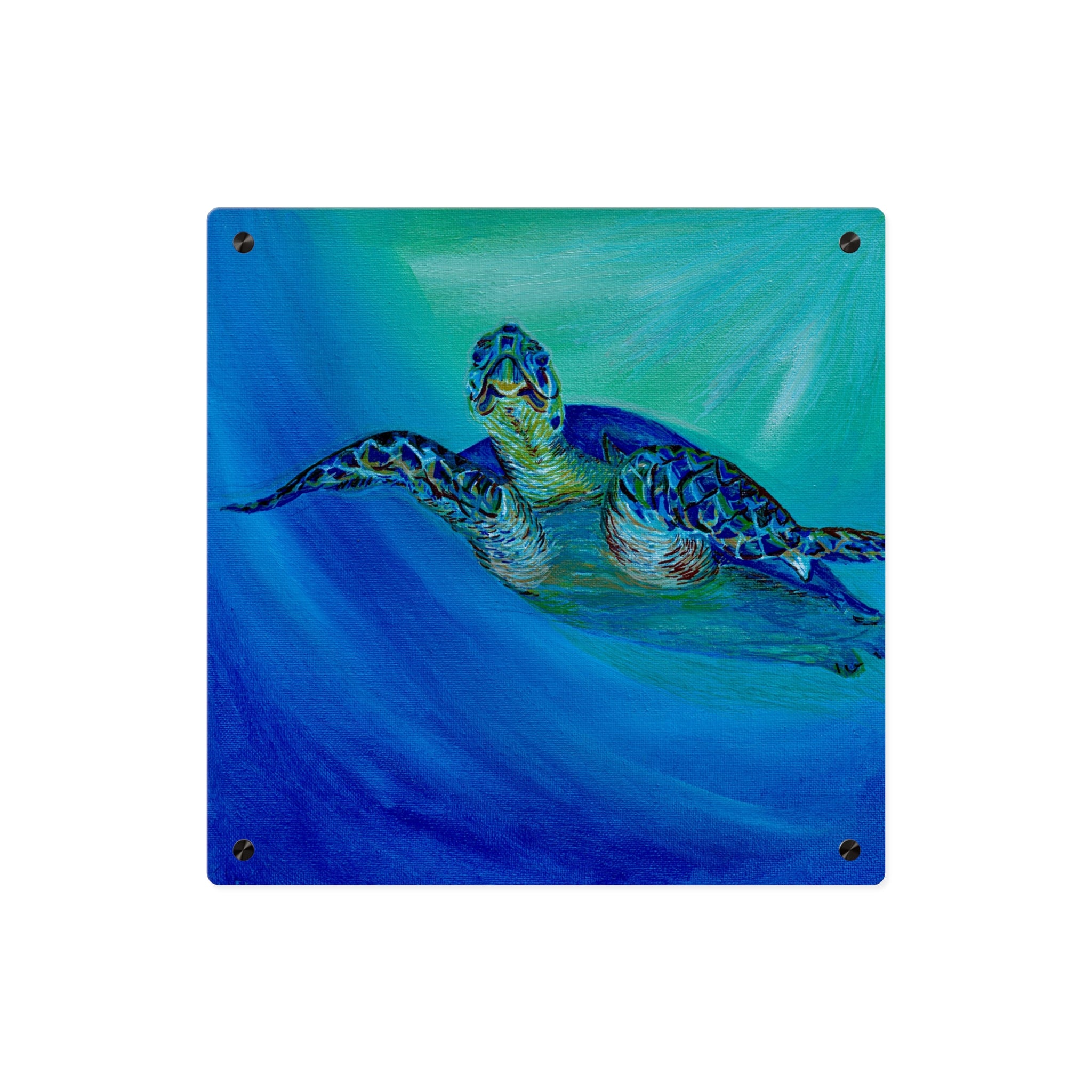 Acrylic Wall Art Panels