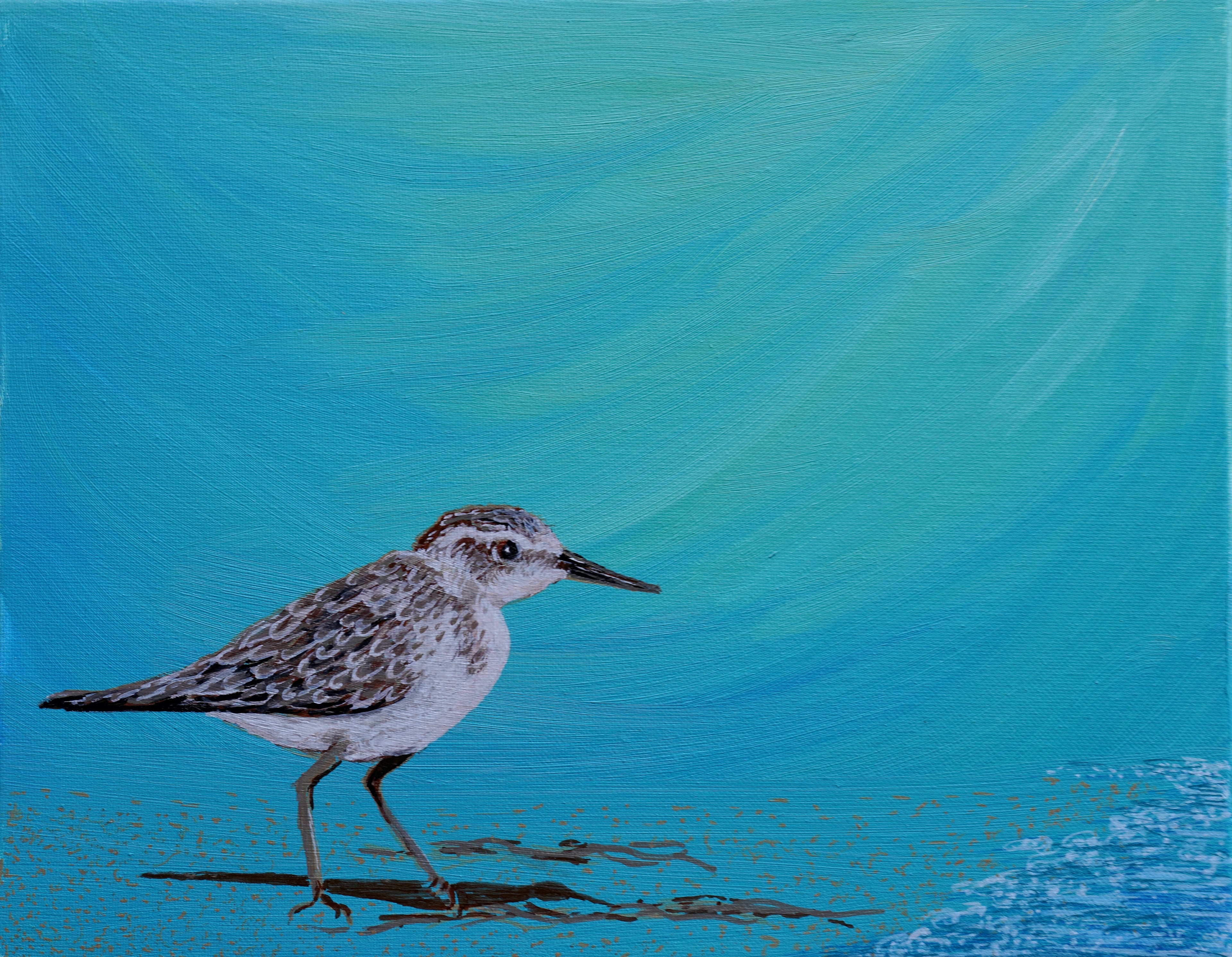 Sandpiper Original Oil Painting