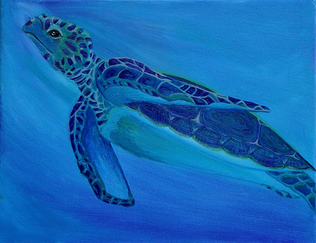 Hawksbill Turtle Original Oil Painting