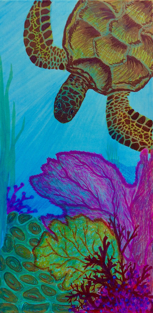 Turtle with Scallops Original Oil Painting