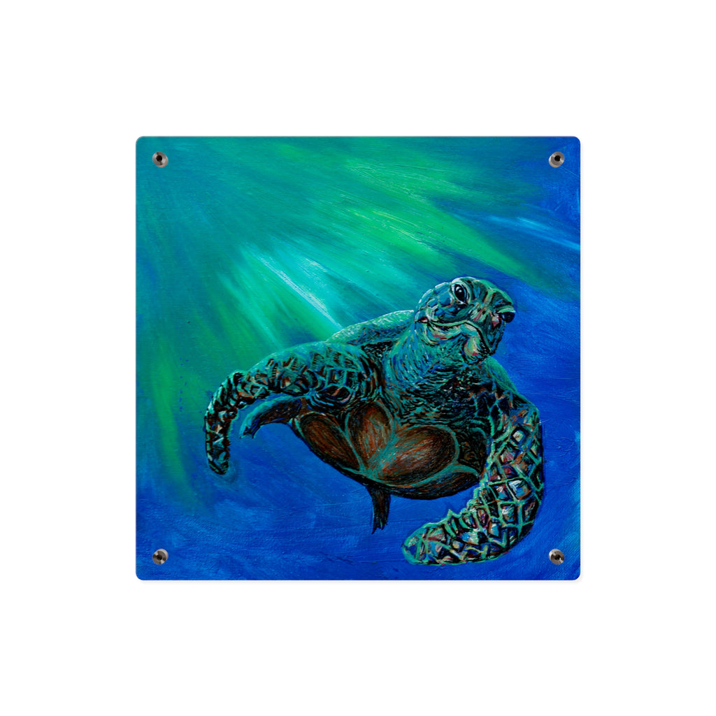 Sea Turtle Acrylic Wall Art Panel — Ocean Wildlife Decor