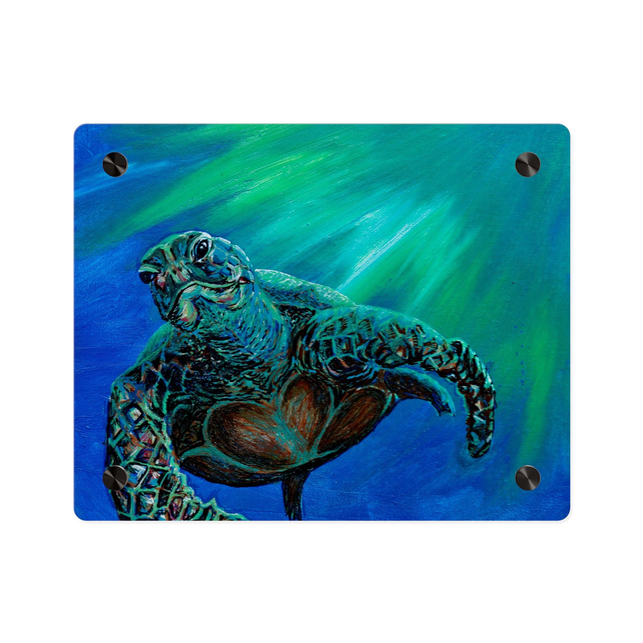Turtle 3 Aquatic Turtle Acrylic Wall Art Panels - Ocean-Inspired Decor