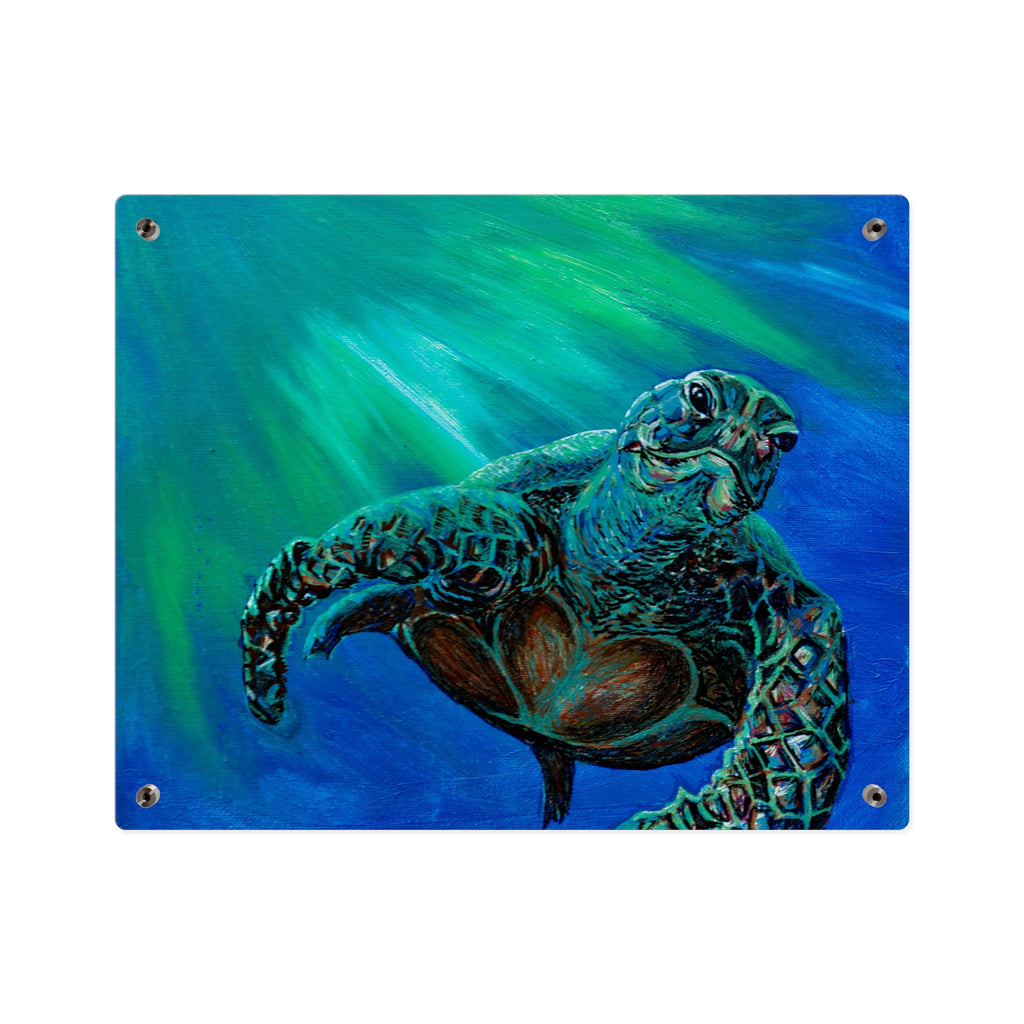 Turtle 3 Aquatic Turtle Acrylic Wall Art Panels - Ocean-Inspired Decor