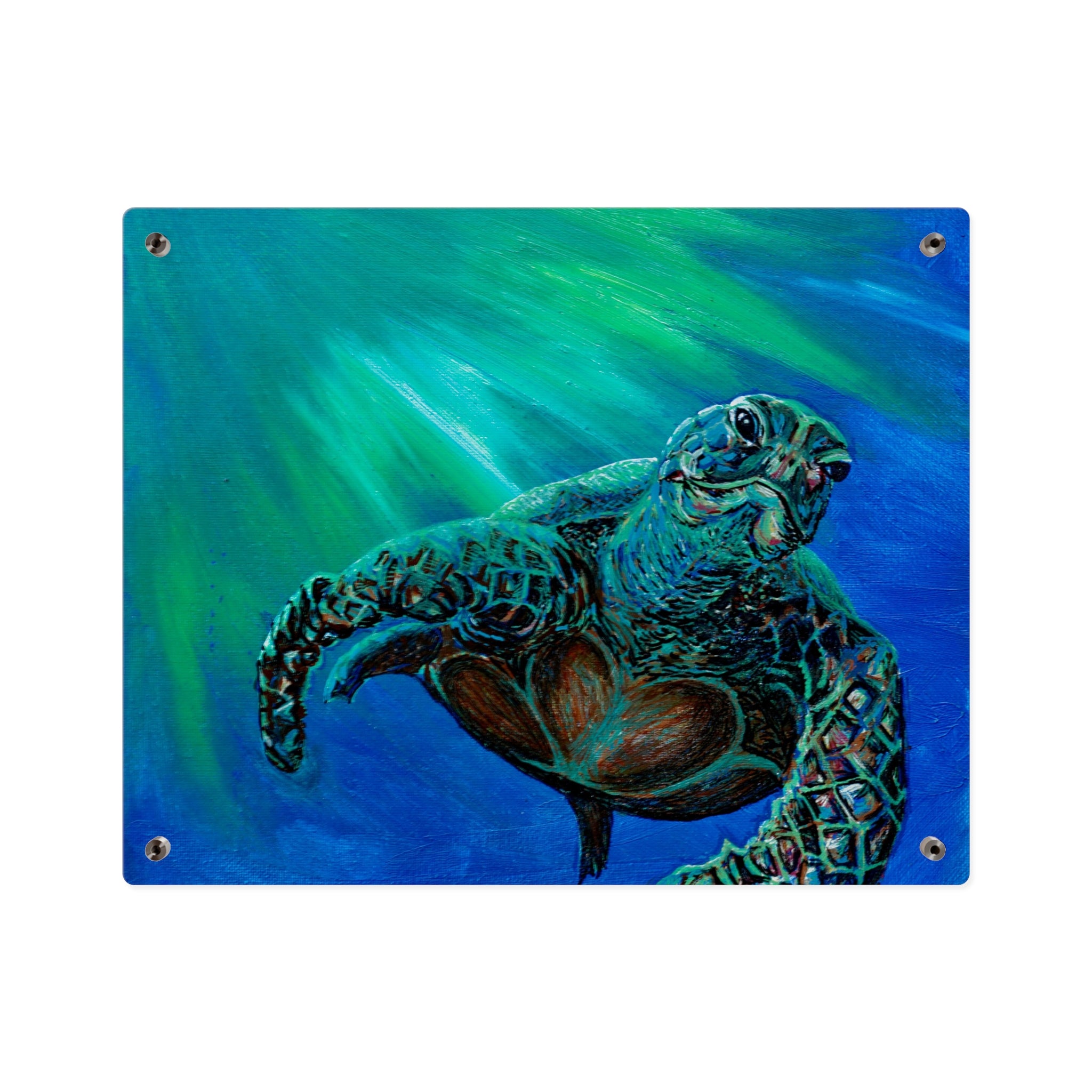 Turtle 3 Aquatic Turtle Acrylic Wall Art Panels - Ocean-Inspired Decor