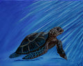 Turtle As Light Strikes Original Oil Painting