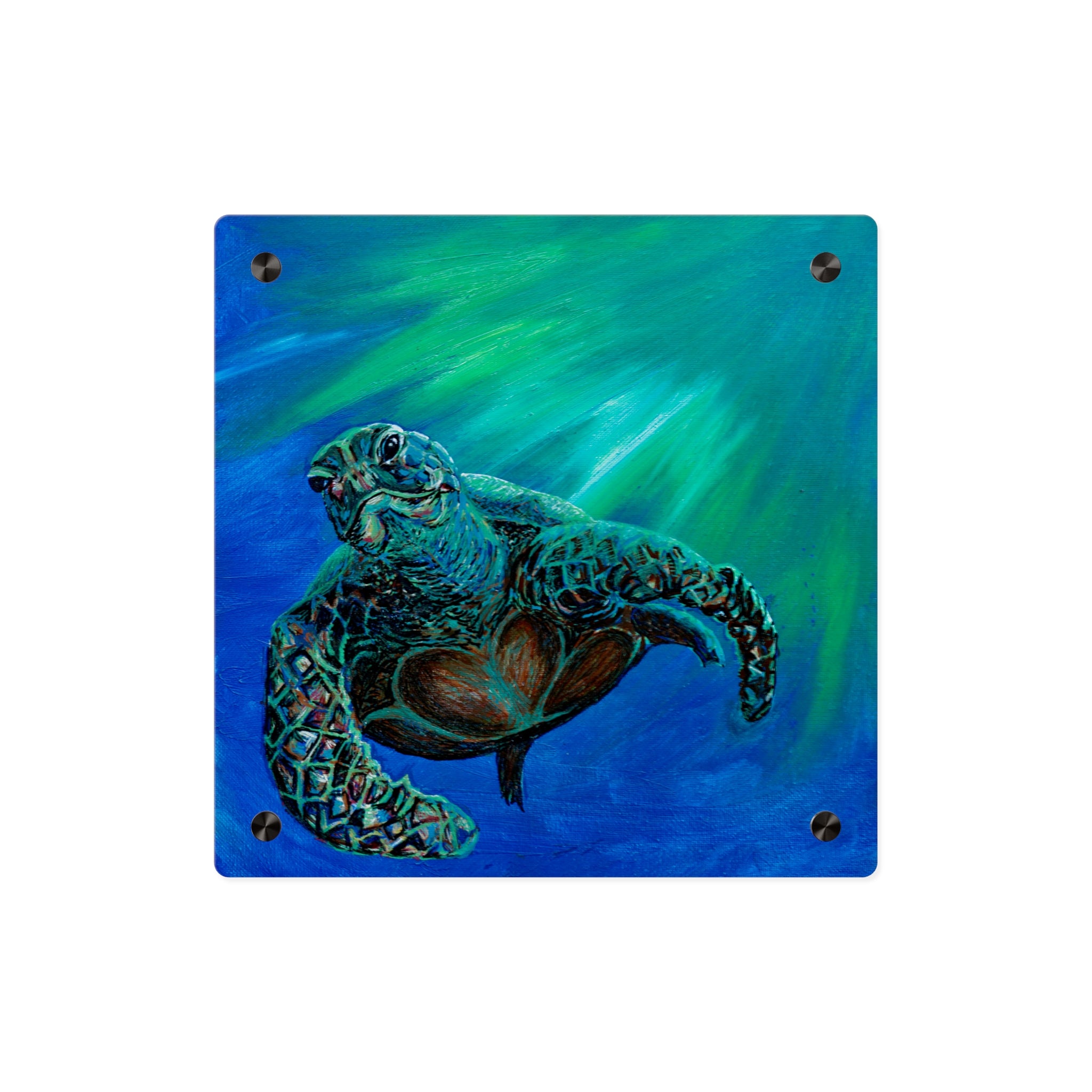 Sea Turtle Acrylic Wall Art Panel — Ocean Wildlife Decor