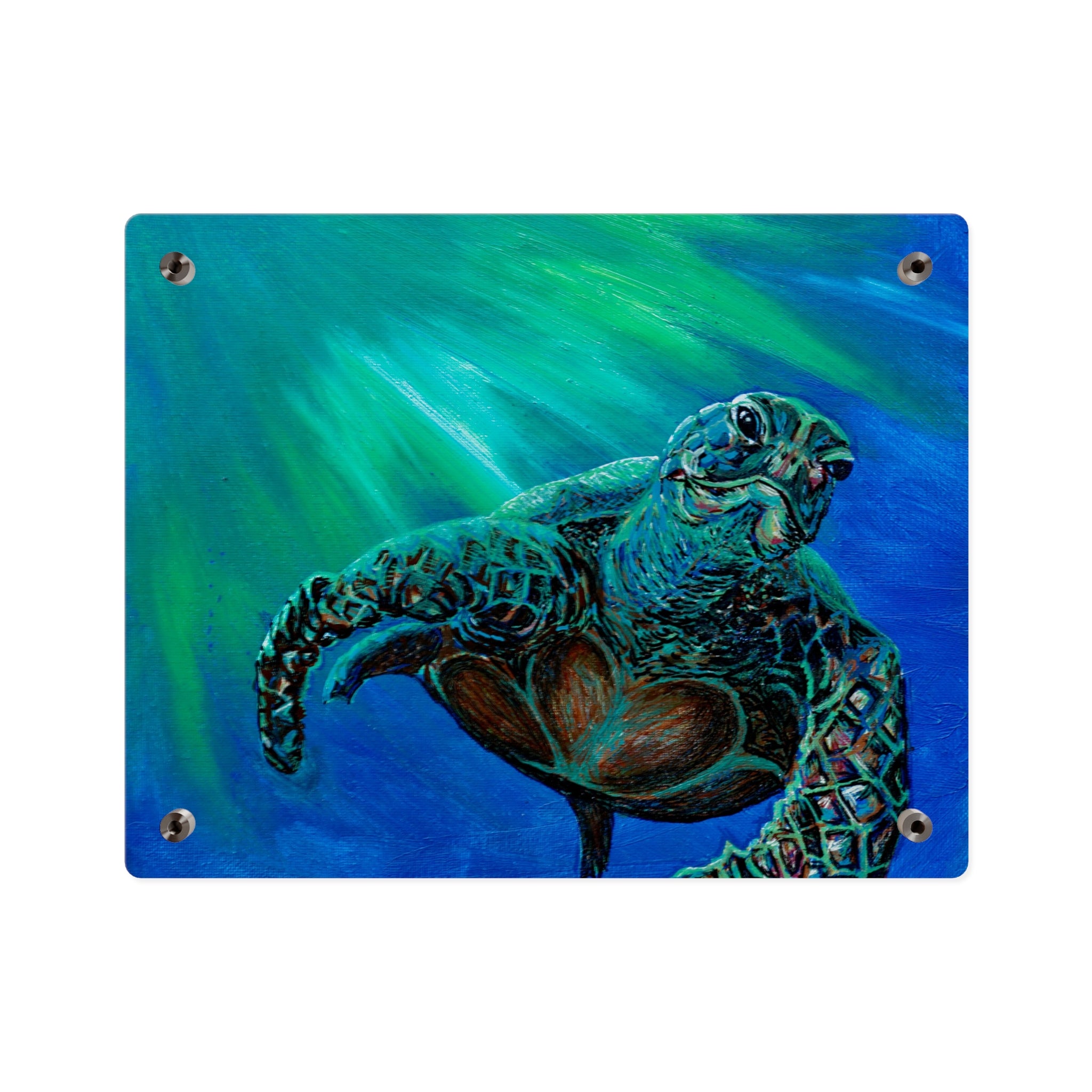 Turtle 3 Aquatic Turtle Acrylic Wall Art Panels - Ocean-Inspired Decor