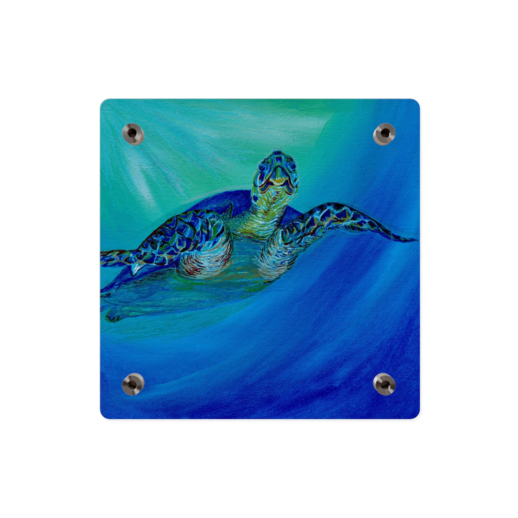 Acrylic Wall Art Panels