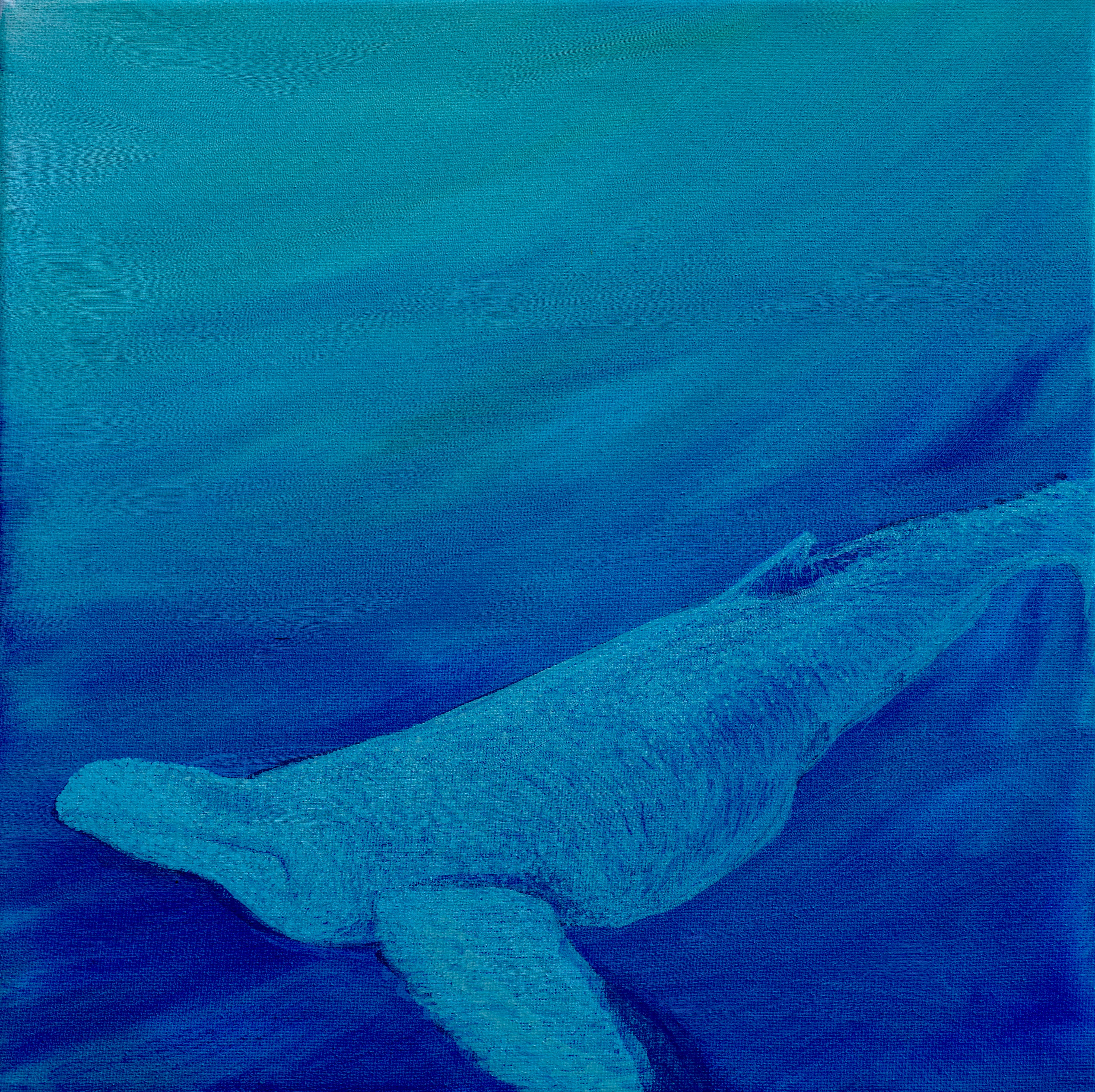 Beluga with Bubbles Original Oil Painting