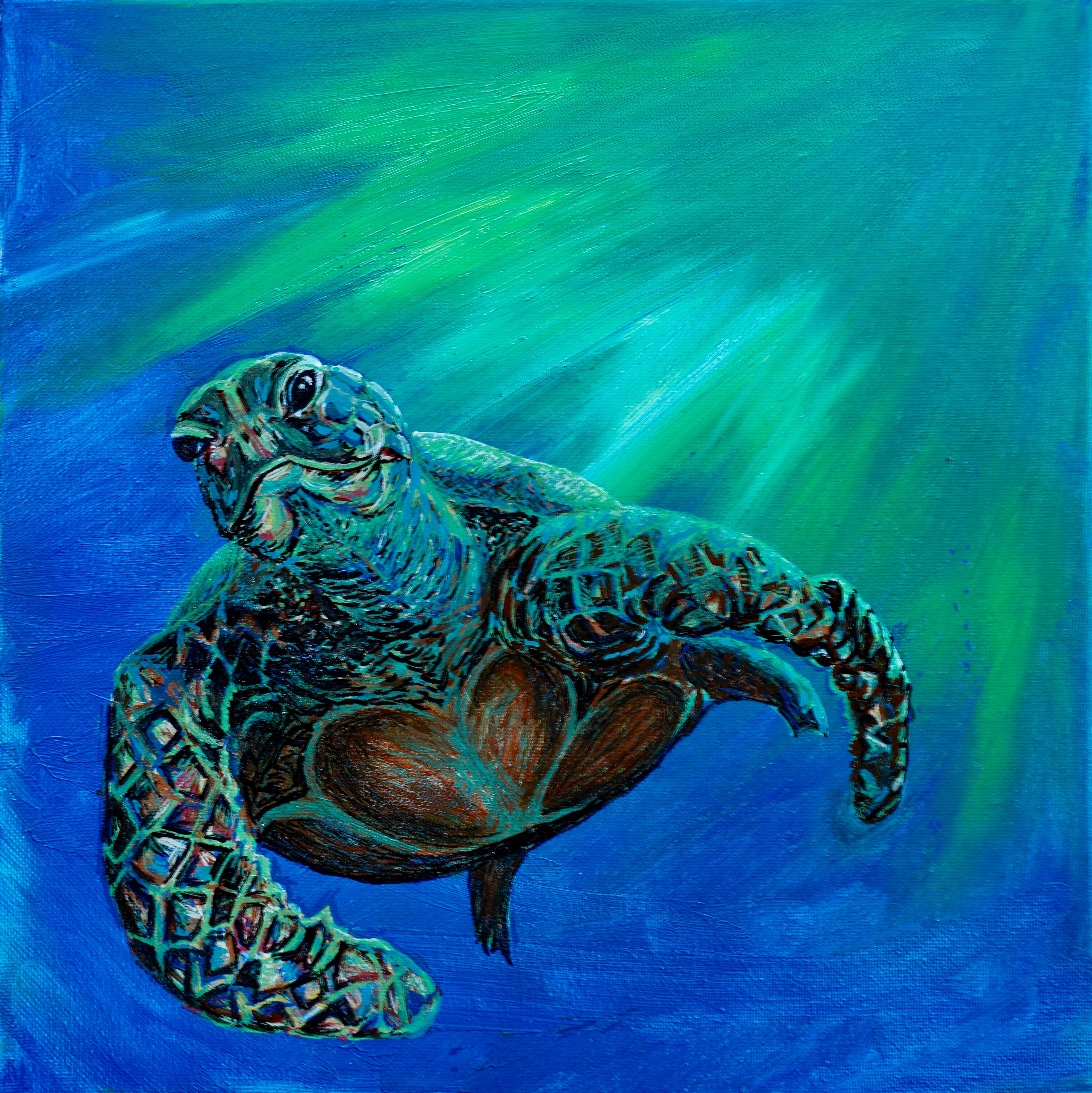 Turtle 3 Archival Original Oil Painting