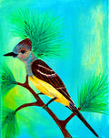 Florida's Fly Catcher Original Oil Painting