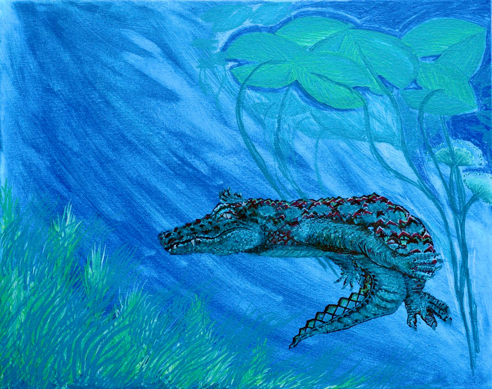 Alligator Turning Archival Giclee Print