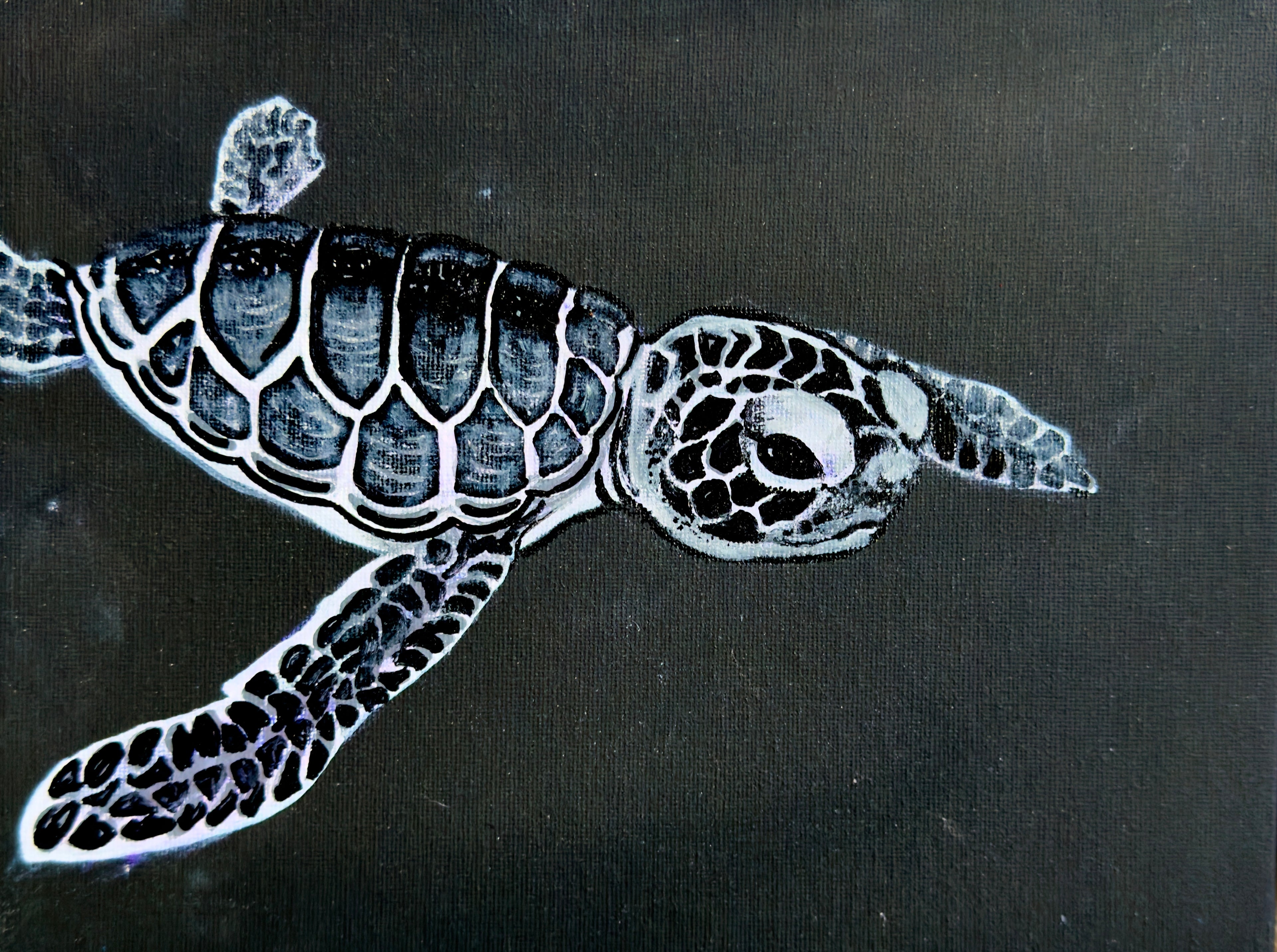 Mini Black and White Turtle Archival Giclee Print