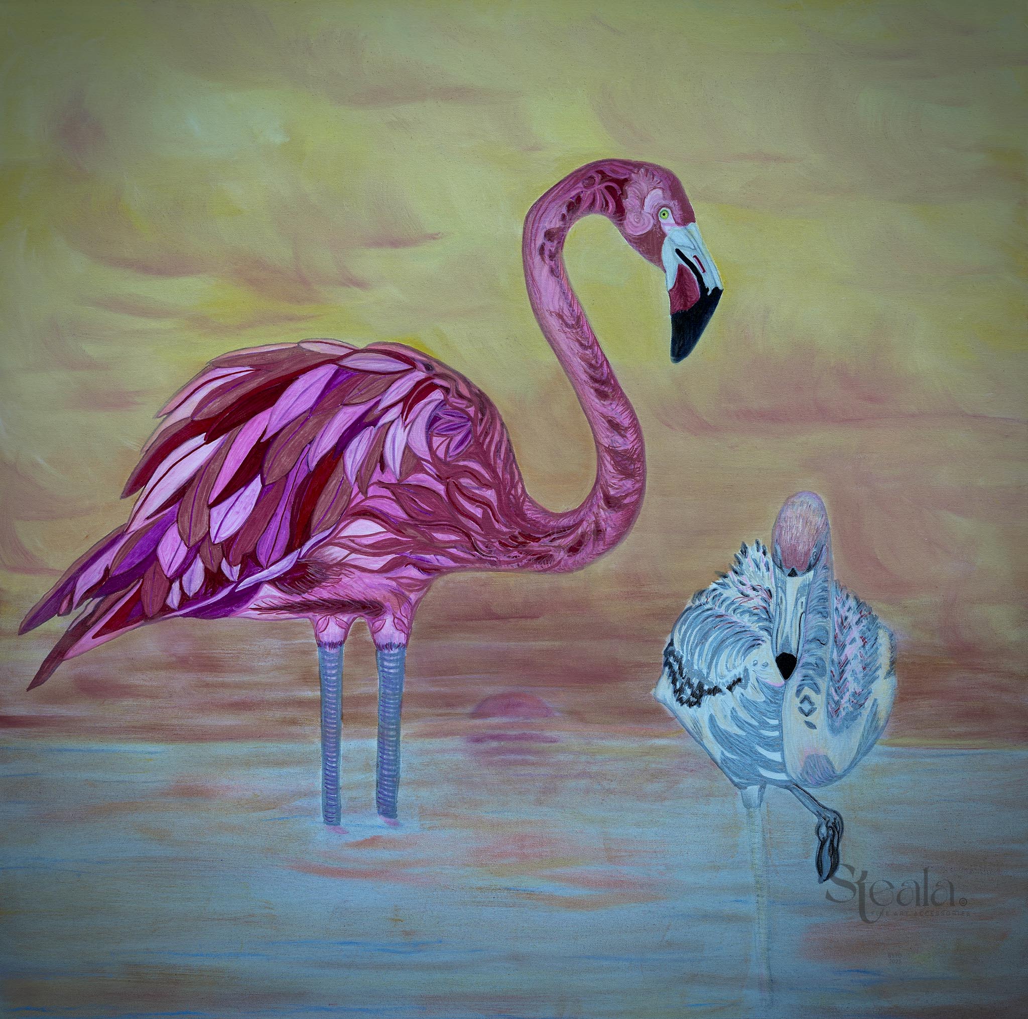 Parent and Baby Flamingo