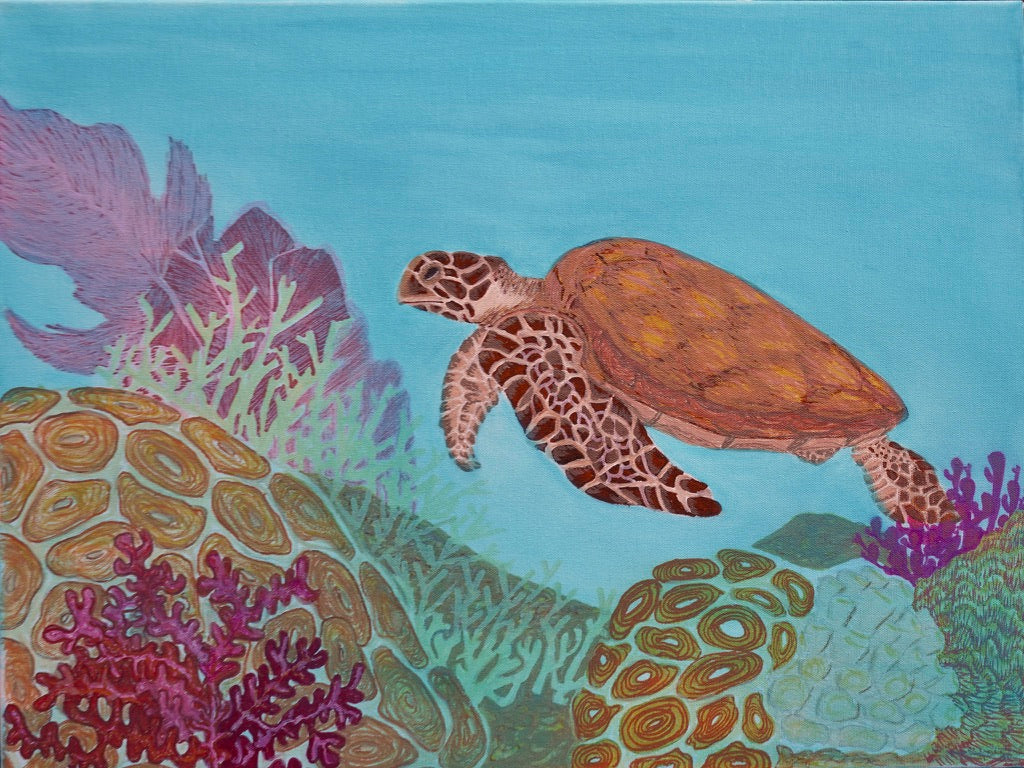 Water Washed Turtle with Coral Archival Giclee Print