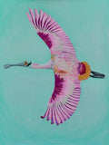 Spoonbill with Orange Slice Sunset Archival Giclee Print