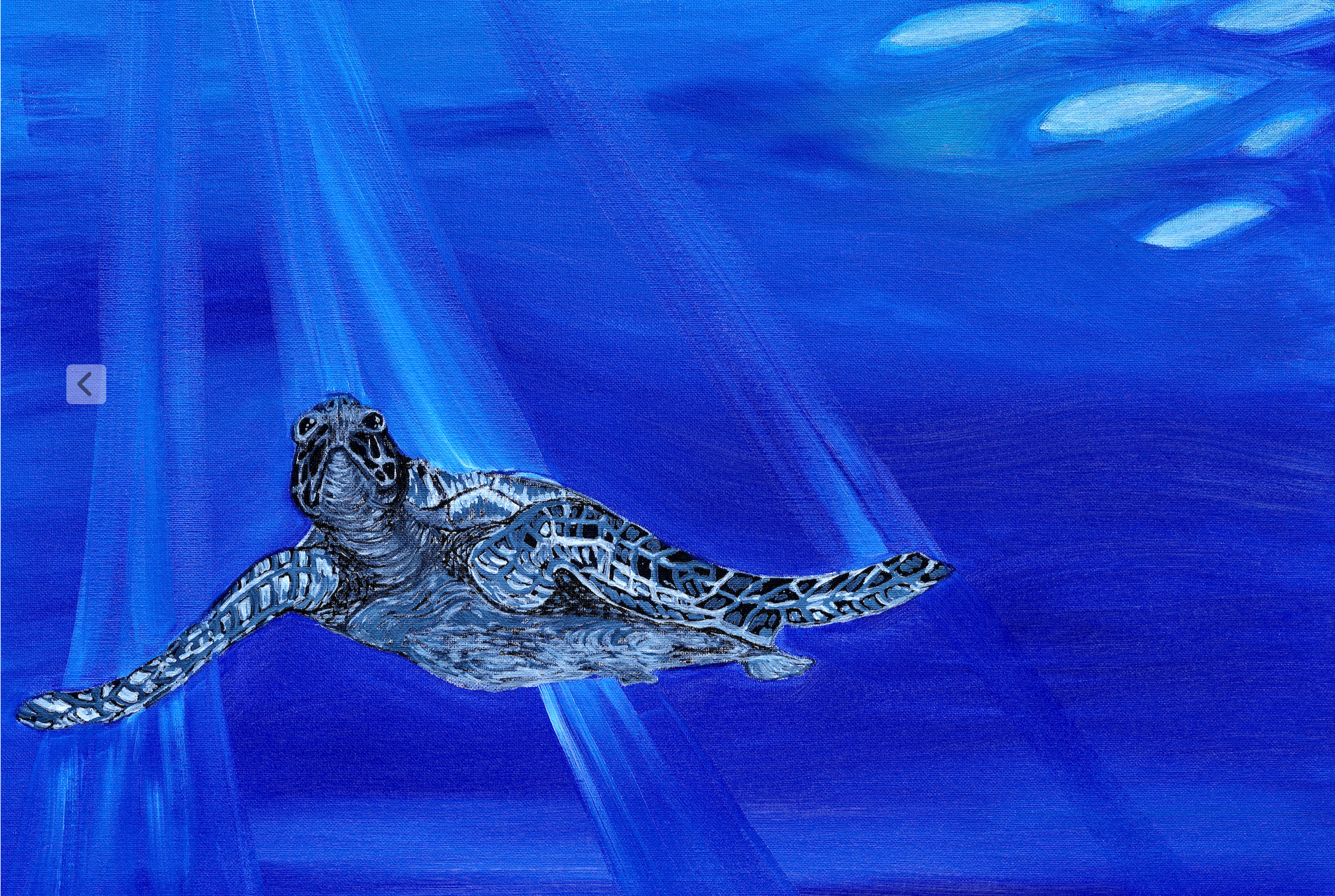 Deep Blue Turtle 1 Archival Giclee Print