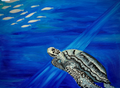 Deep Blue Turtle 3 Archival Giclee Print
